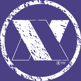 Avey Large Purple Ladies Casual Tee